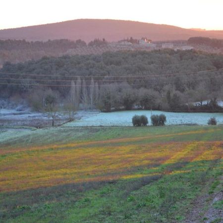 Podere Ficareto Farm Ancaiano Eksteriør bilde