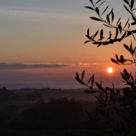 Podere Ficareto Farm Ancaiano Eksteriør bilde