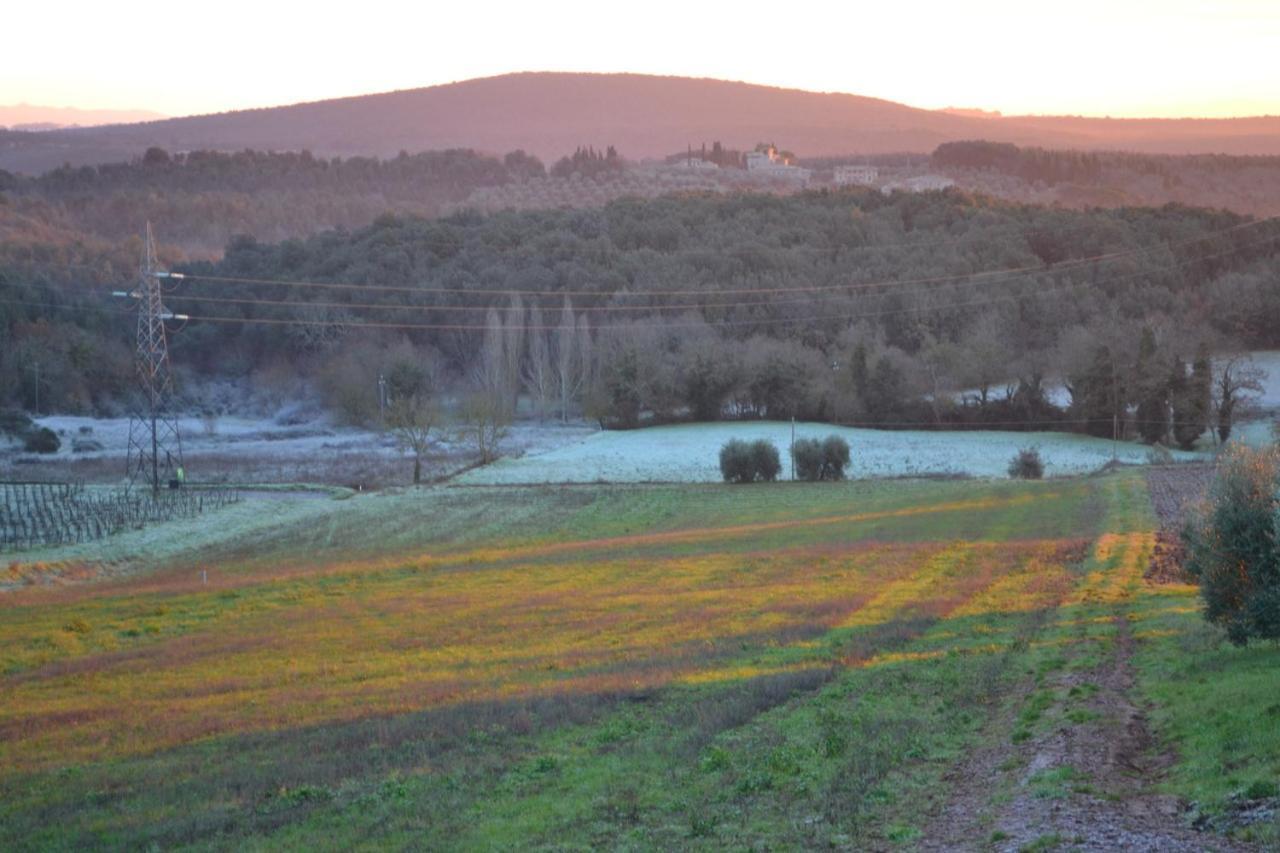 Podere Ficareto Farm Ancaiano Eksteriør bilde