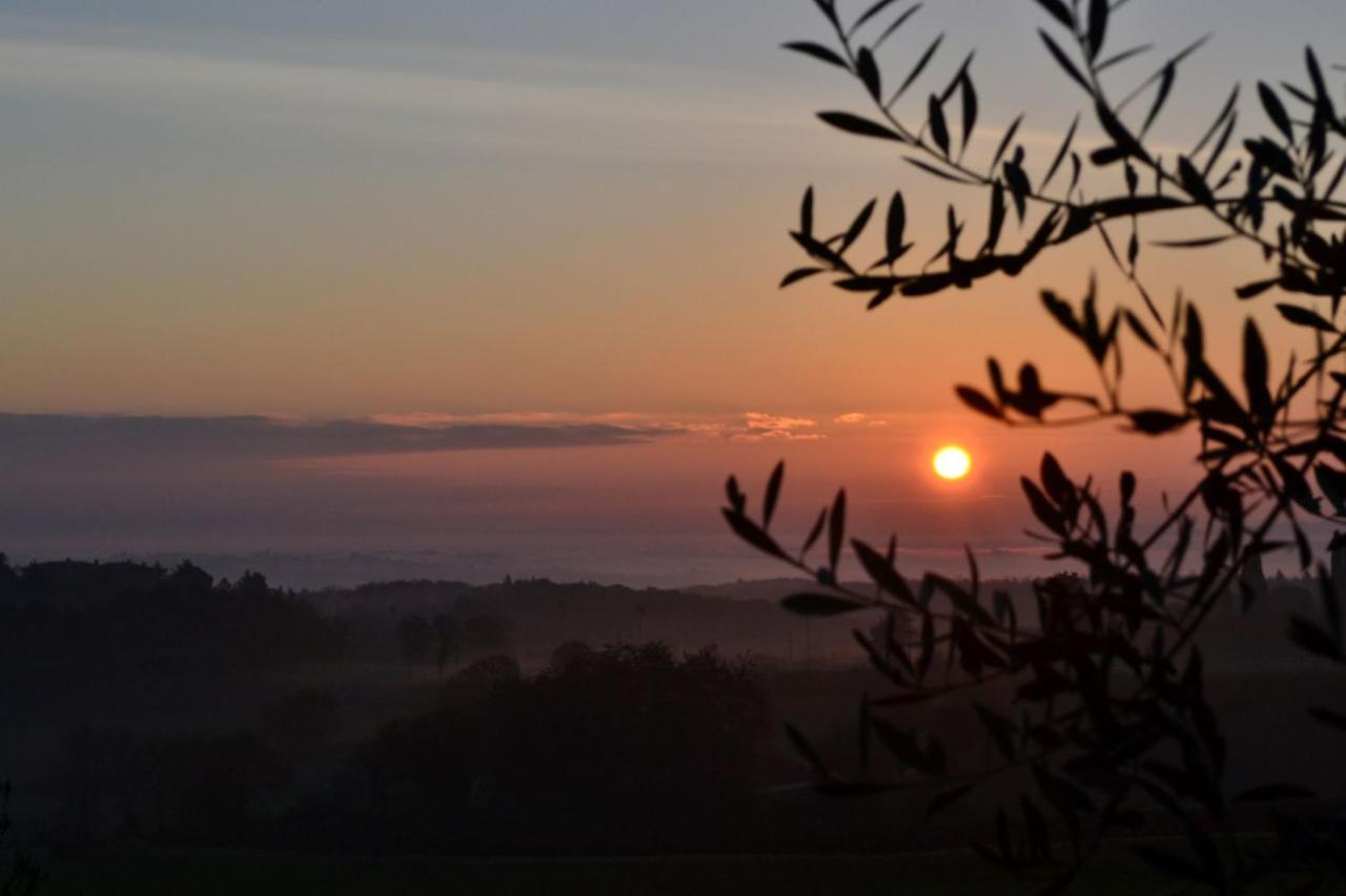 Podere Ficareto Farm Ancaiano Eksteriør bilde
