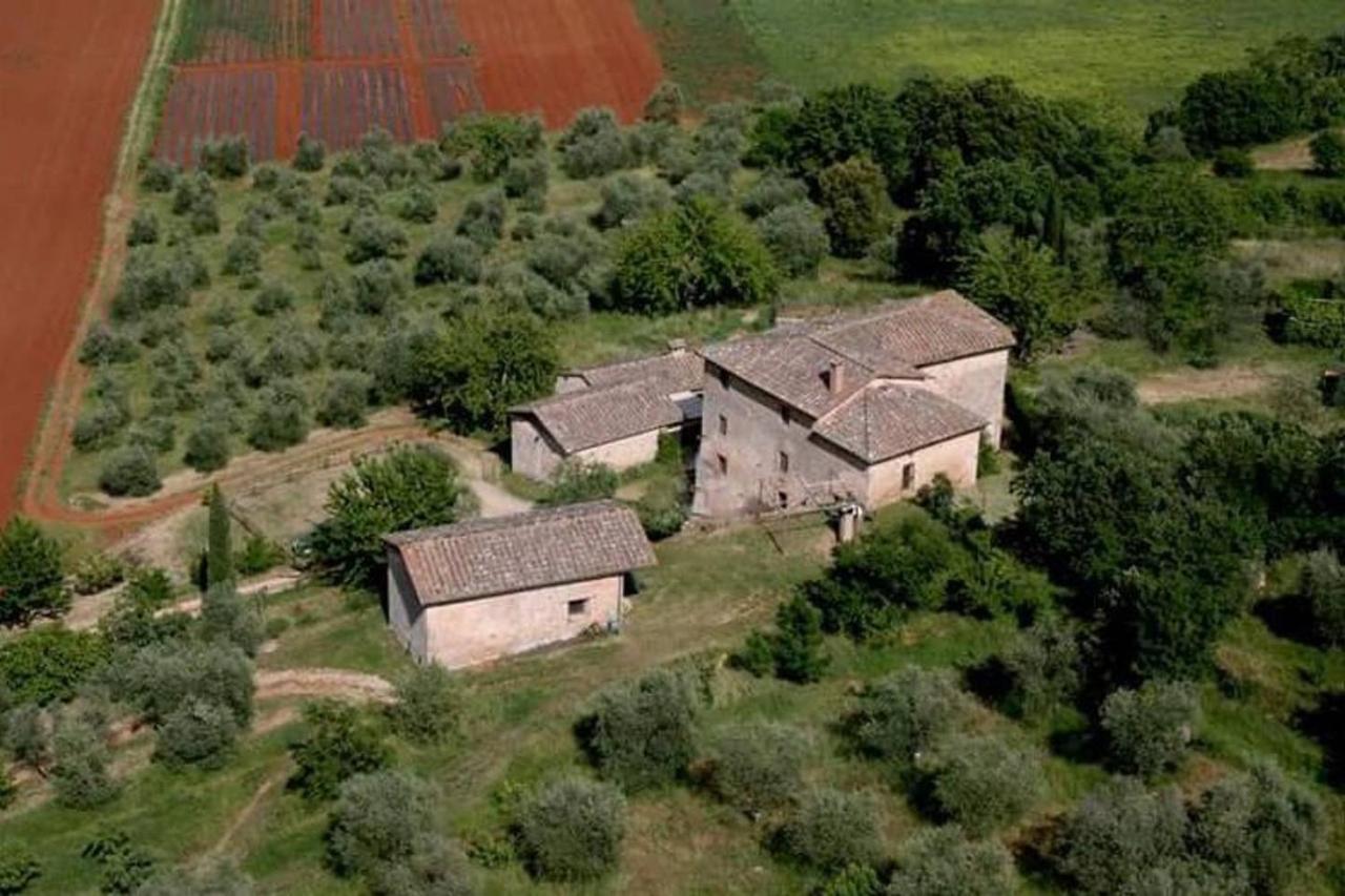 Podere Ficareto Farm Ancaiano Eksteriør bilde